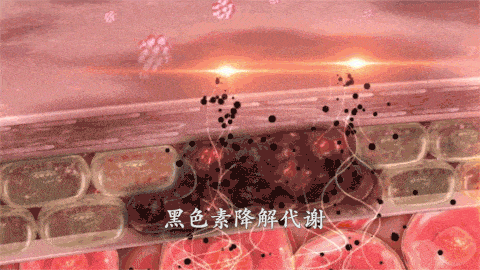 src=http___dingyue.ws.126.net_2020_0514_df27ea8dg00qaa2dl052xd200dc007ig00dc007i.gif&refer=http___dingyue.ws.126.gif