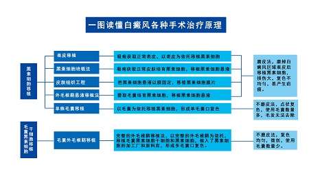 区别.jpg