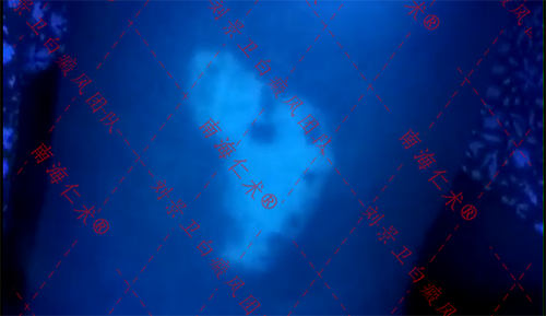 海口仁术皮肤.png
