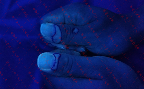 海口仁术皮肤.png