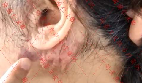 海口仁术皮肤.png