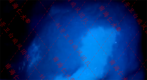 aa990582549be727c0972eb3686ea62.png