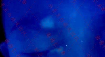 海口仁术皮肤.png