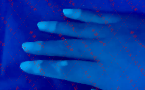 海口仁术皮肤.png