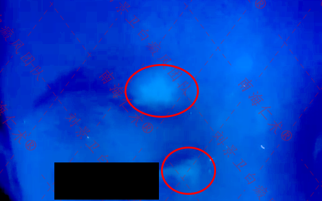 1020.png