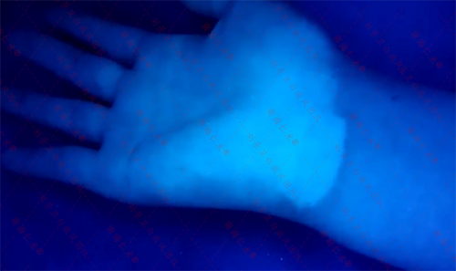 海口仁术皮肤.png