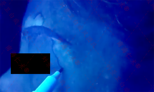 aca45f08ec9c9973514ae7609744a2c.png