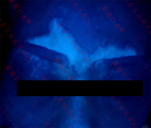 ad2f0d825ad42ede88333a7c612b1e5.jpg