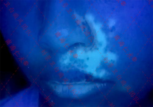 海口仁术皮肤.png