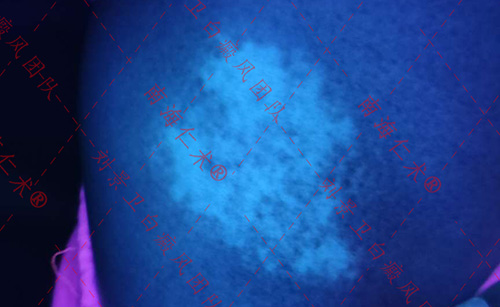 IMG20230408095638.jpg
