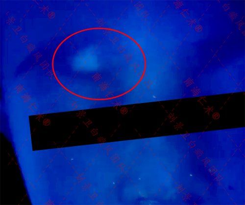 b1d009d123f606aa2d811613c4c59e0.png