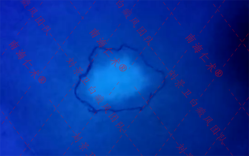 a51d114bd3c791501d51407ba9f585b.png