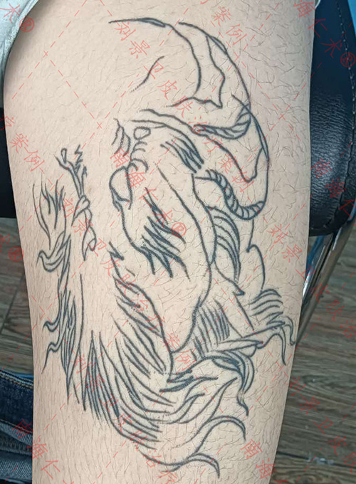 海口仁术皮肤.jpg