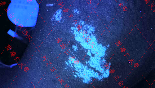 b37203a93d98ceb192d3ecf6612d6f91.jpg