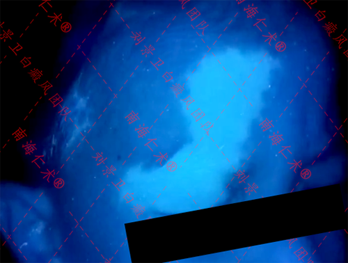 168536775f8b29ebb286b5b3eef4151.png