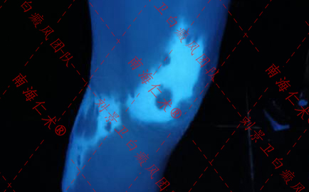 iwEdAqNqcGcDAQTRA8AF0QUABrCy6Ljnc91qSAaM73qm7XkAB9MAAAAAoPg_BggACaJpbQoAC9IAAL0I.jpg_720x720q90.jpg