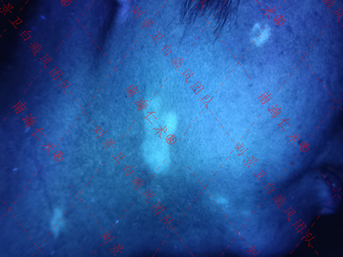 lADPKIJfTfWRWWfND6DNC7g_3000_4000.jpg