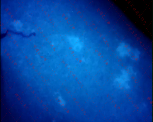 af97d04f3860490a5475bd611a62089.jpg