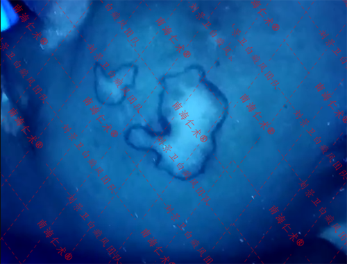 ae1a1268244fe6e5786c939189525c9.png