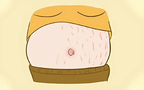 b6dd69c85504d0008c351cf543f5411.png
