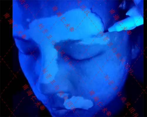 4e711fb3204c53380c58b36b238c189.png