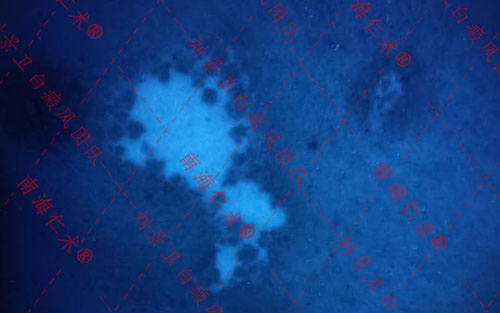 iwEdAqNqcGcDAQTRA8AF0QUABrDm32NlqxzoRwdTc9y_FBsAB9MAAAAAoPg_BggACaJpbQoAC9IAAORS.jpg_720x720q90.jpg