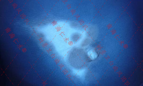 iwEcAqNqcGcDAQTRA8AF0QUABrC2sAcnfsmjSAaM73414koAB9MAAAAAoPg_BggACaJpbQoAC9IAAOzT.jpg_720x720q90.jpg