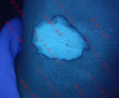 lQDPKGMJSrsaC93NBQDNA8CwfEJVCMiRxn0HaqjZMswFAA_960_1280.jpg