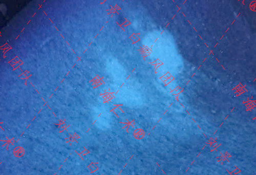 IMG20240510132315.jpg