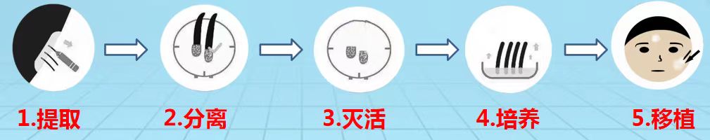 efca46746c5a982fe87fc6eb017394d2.jpg