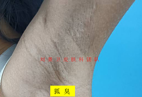 a79024582523ff87482cd56ebdf6cb5.jpg